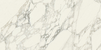 Шарм Делюкс Арабескато Уайт керамогранит патинированный 60х120 Шарм Делюкс Арабескато Уайт керамогранит патинированный 60х120