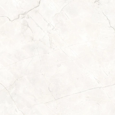 Connect Pearl серый светлый 60x60 керамический гранит матовый SG624920R