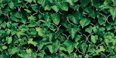 Dream декор uniwersalne 30x60