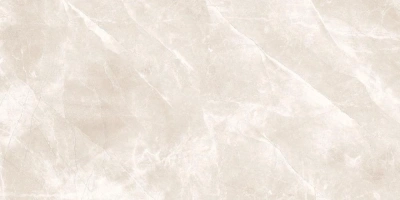 Daytone Grey 60x120 керамический гранит полированный