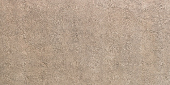 Королевская дорога керамогранит коричневый светлый 30х60 1,1 см Королевская дорога керамогранит коричневый светлый 30х60 1,1 см
