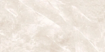 Daytone Grey 60x120 керамический гранит полированный