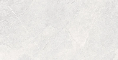 Overland Moon 60х120 керамогранит структурный матовый (GHR) глосси инк