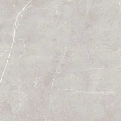 Scandy серый светлый 60x60 керамический гранит матовый SG645120R