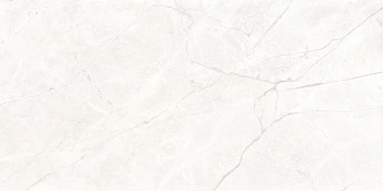 Connect Pearl серый светлый 60x119,5 керамический гранит матовый SG50004720R