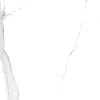 Viva белый 40,2x40,2 керамический гранит матовый SG169700N