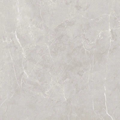 Scandy серый светлый 60x60 керамический гранит матовый SG645120R