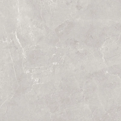 Scandy серый светлый 60x60 керамический гранит матовый SG645120R