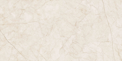 Контемпора Пур керамогранит патинированный 60х120 Контемпора Пур керамогранит патинированный 60х120