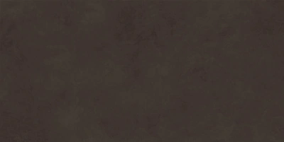 Evolution Marron 40x80 плитка матовый