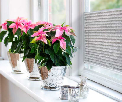 Венесуэла 7013 серебро, 225 см