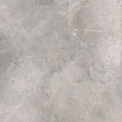 Masterstone керамогранит silver полированный 119,7х119,7 0,6 см Masterstone керамогранит silver полированный 119,7х119,7 0,6 см