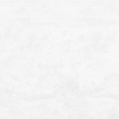 Flagman светло-серый 60x60 керамический гранит матовый K952736R0001LPET