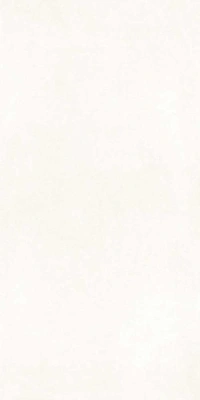 Betonica Blanco PRO 80x160 керамический гранит матовый (ghr) софт