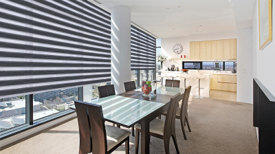 Зебра МОНТАНА 1908 графит, 280см