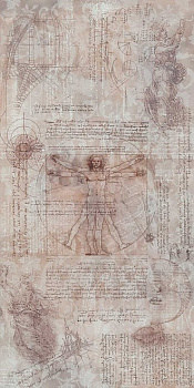 Атлас керамогранит декорированный обрезной 119,5х238,5