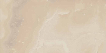 Шарм Эво Оникс керамогранит 45х90