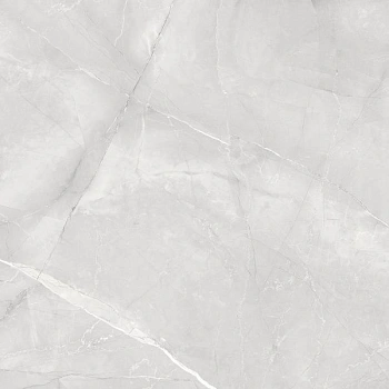 Timeless Grigio серый 60x60 керамический гранит матовый карвинг LP6060G0031R