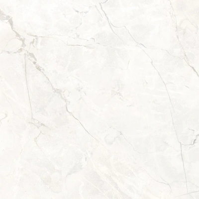 Connect Pearl серый светлый 60x60 керамический гранит матовый SG624920R