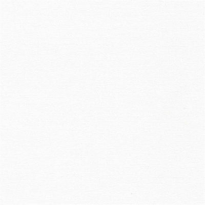 ОМЕГА FR BLACK-OUT 0225 белый, 250 см ОМЕГА FR BLACK-OUT 0225 белый, 250 см