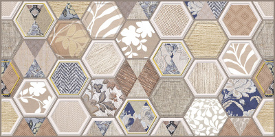 Asteria декор 24,9х50