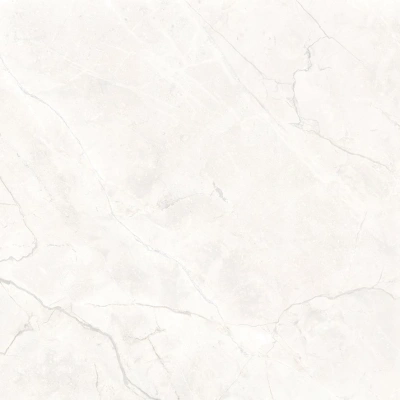 Connect Pearl серый светлый 60x60 керамический гранит матовый SG624920R