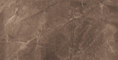 Elegant Armani Choco керамогранит полированный 60х120