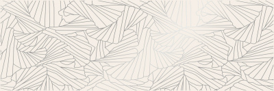 Ray декор silver 25х75