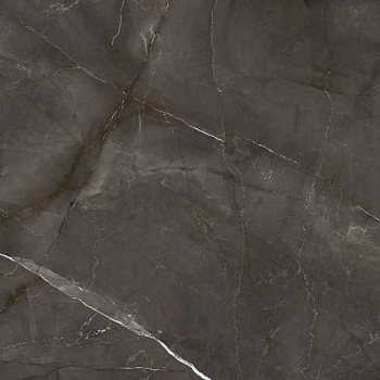 Timeless Marron коричневый 60x60 керамический гранит матовый карвинг