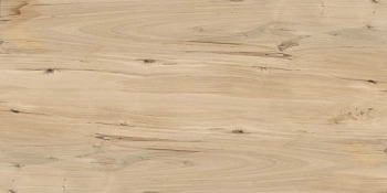 Керамогранит Buono Ceramica Forest Sweet Home Matt