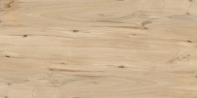 Керамогранит Buono Ceramica Forest Sweet Home Matt