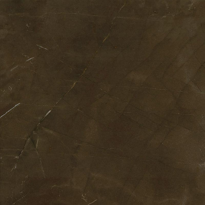 Шарм Бронз керамогранит 60х60 Шарм Бронз керамогранит 60х60