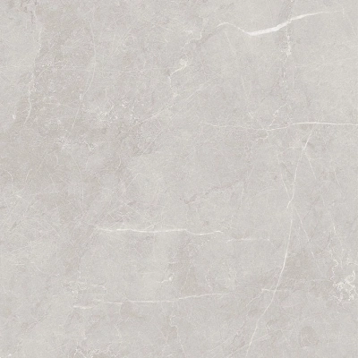 Scandy серый светлый 60x60 керамический гранит матовый SG645120R