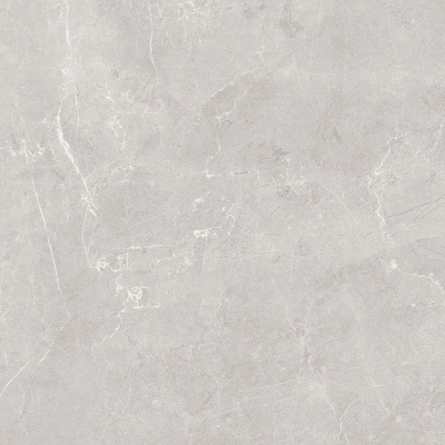 Scandy серый светлый 60x60 керамический гранит матовый SG645120R