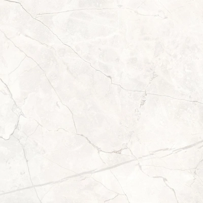 Connect Pearl серый светлый 60x60 керамический гранит матовый SG624920R