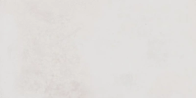 Proto Blanco белый 60x119,5 керамический гранит матовый SG50001420R