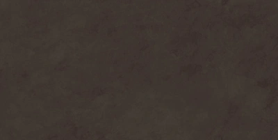Evolution Marron 40x80 плитка матовый