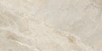 Керамогранит Buono Ceramica Stones Irwin Stones Gossy