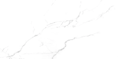 Discovery Blanco белый 60x119,5 керамический гранит матовый SG50002420R